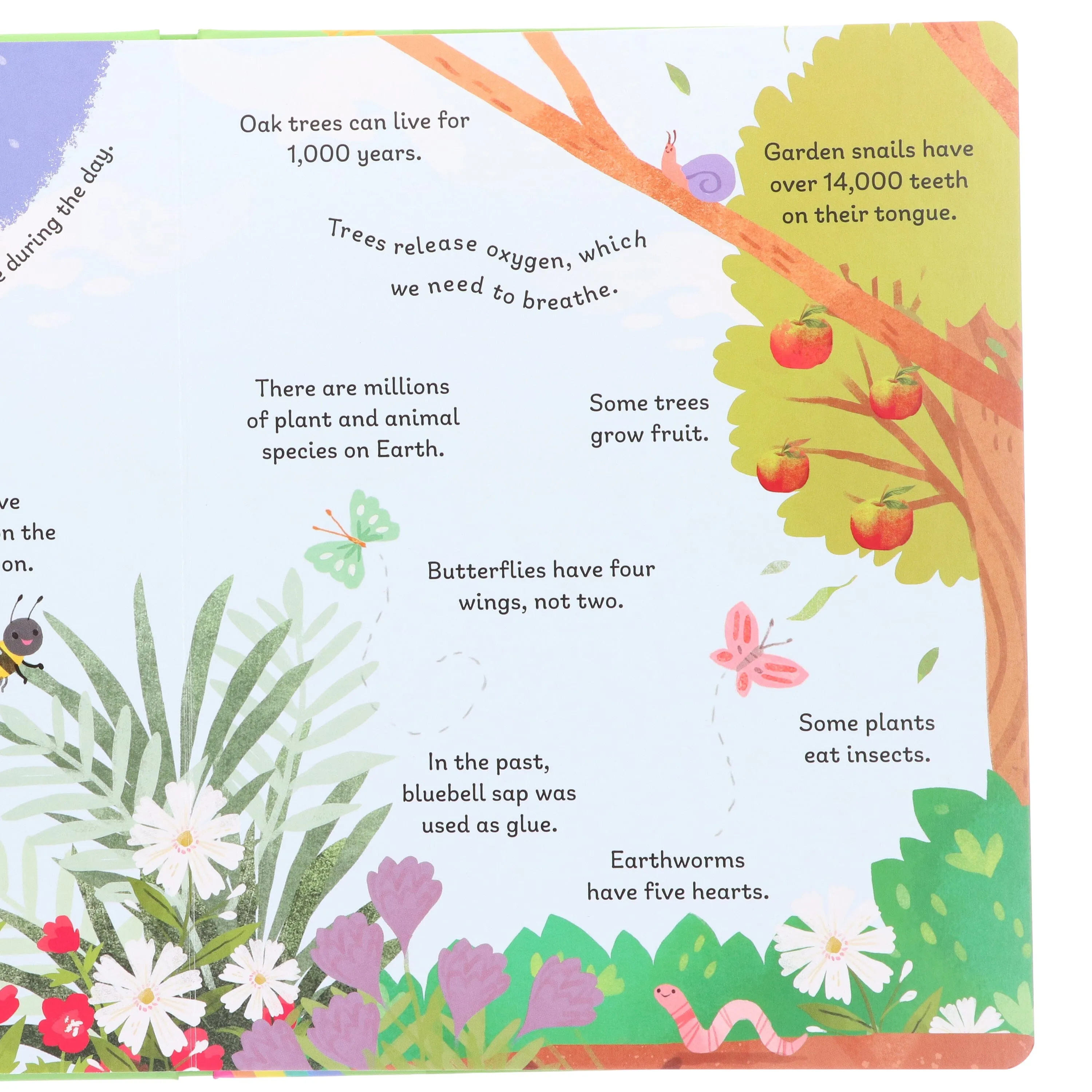 100 First Facts: Exploring our Planet Picture Book By Sweet Cherry Publishing - Ages 5-7 - Board Book
