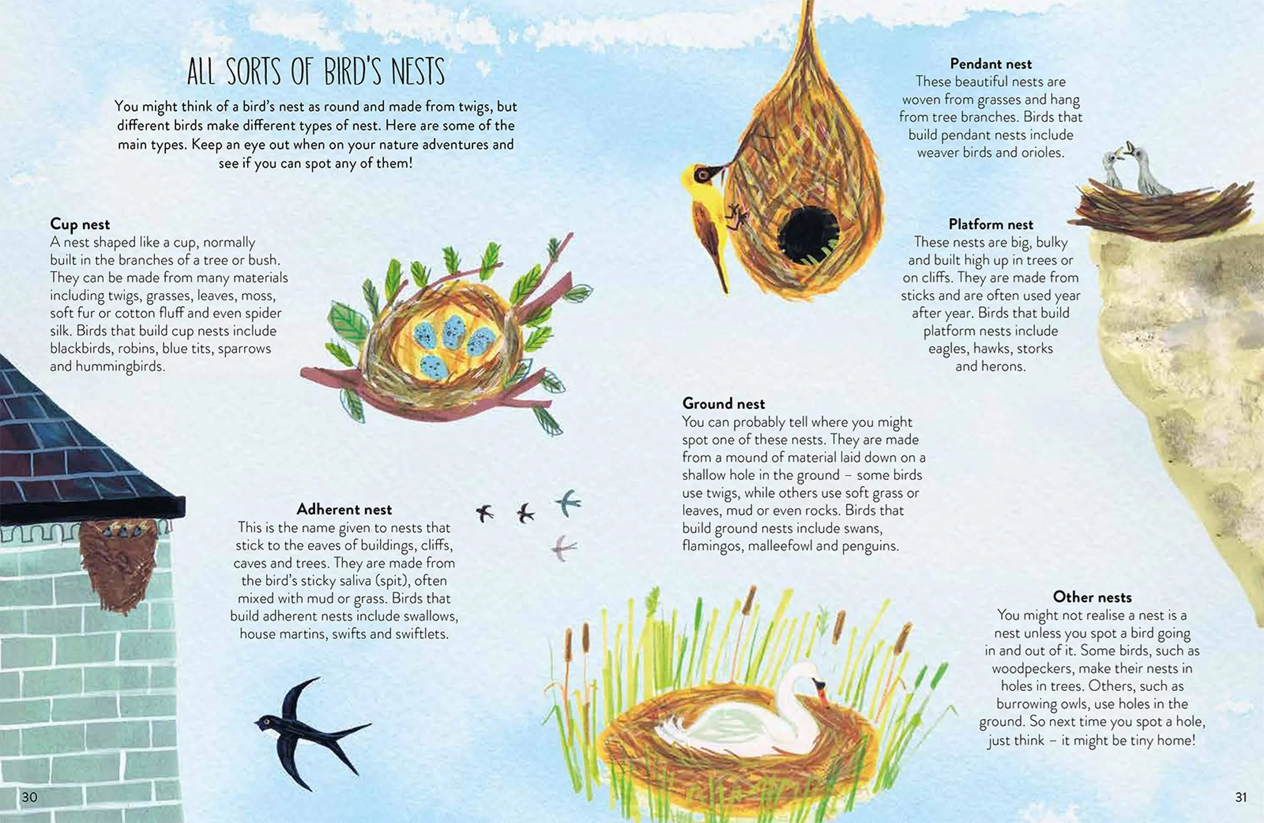 A Friend to Nature: Activities and Inspiration to Connect With the Wild World