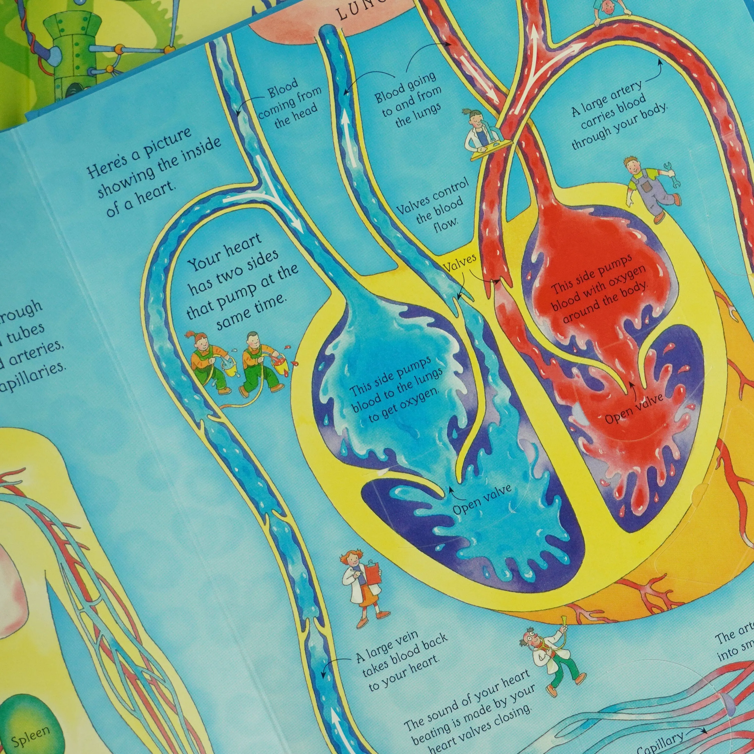 An Usborne Flap Book See Inside Series 2 Books Set - Ages 6  - Board Book