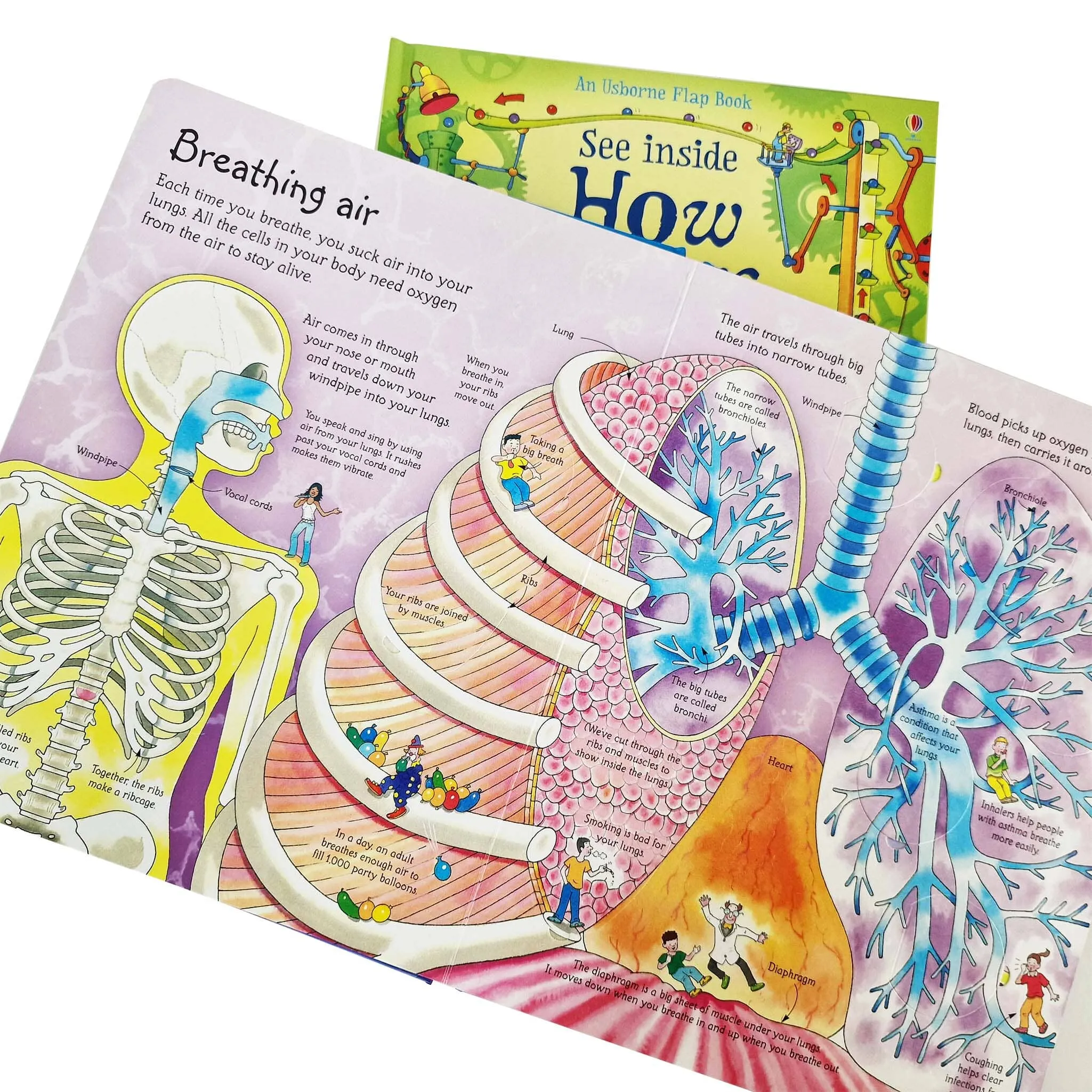 An Usborne Flap Book See Inside Series 2 Books Set - Ages 6  - Board Book
