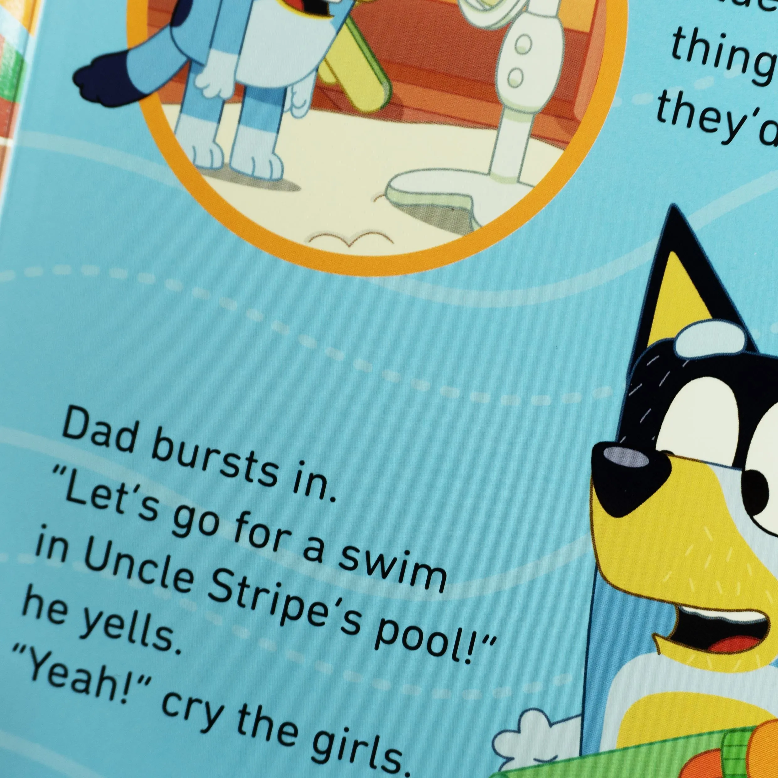 Bluey 5 Board Books Collection Set - Ages 3-7 - Board Book
