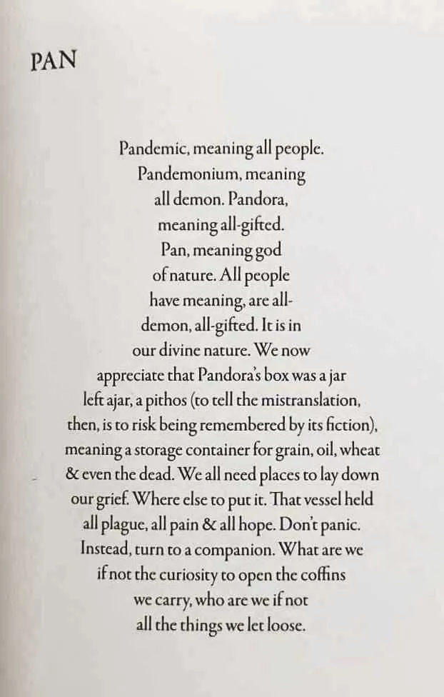 CALL US WHAT WE CARRY - Amanda Gorman
