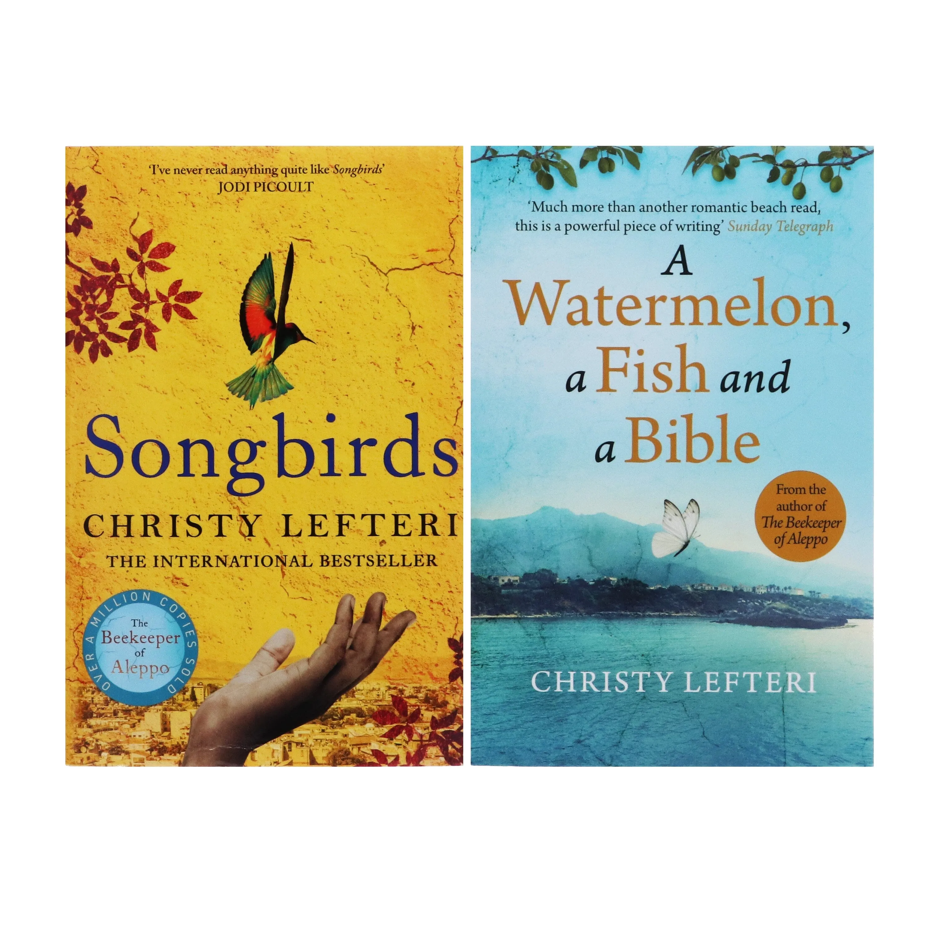 Christy Lefteri 2 Books Collection Set - Fiction - Paperback