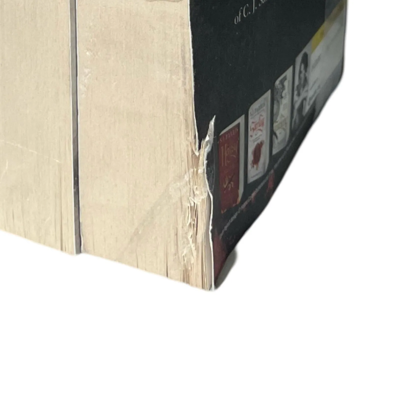 Damaged - The Giordano Bruno Series 5 Book Collection by S.J. Parris - Fiction - Paperback - T 41