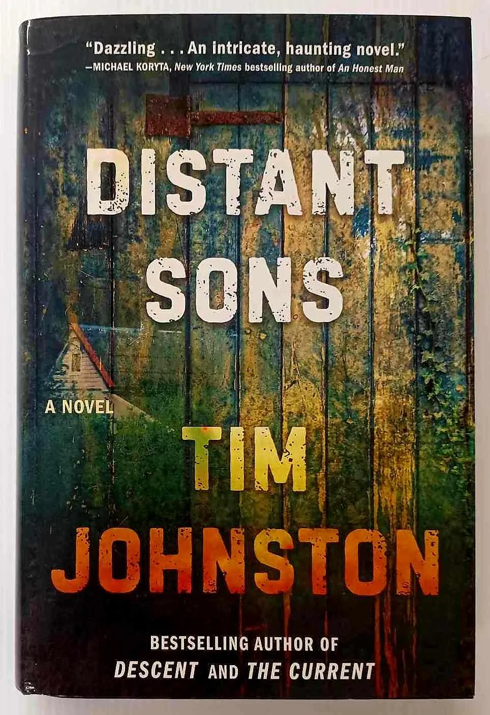 DISTANT SONS - Tim Johnston