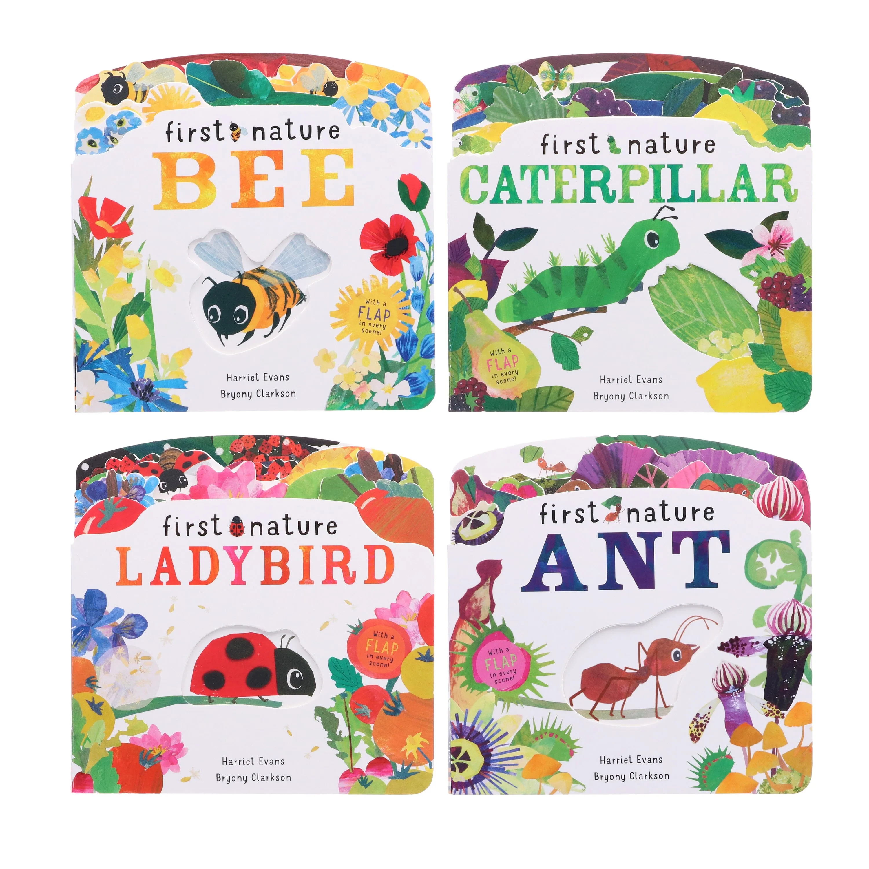 First Nature 4 Books Childrens Collection Set (ANT, BEE, CATERPILLAR & LADYBIRD) By Harriet Evans - Ages 0-5 - Board Book