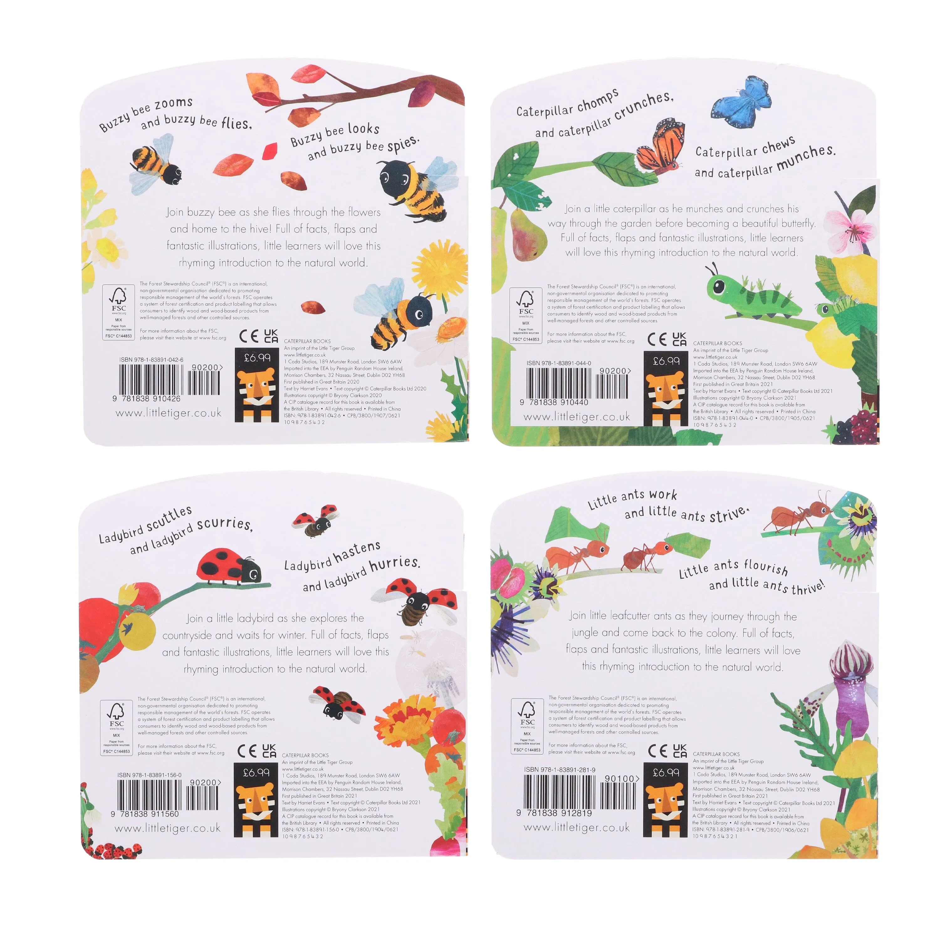 First Nature 4 Books Childrens Collection Set (ANT, BEE, CATERPILLAR & LADYBIRD) By Harriet Evans - Ages 0-5 - Board Book