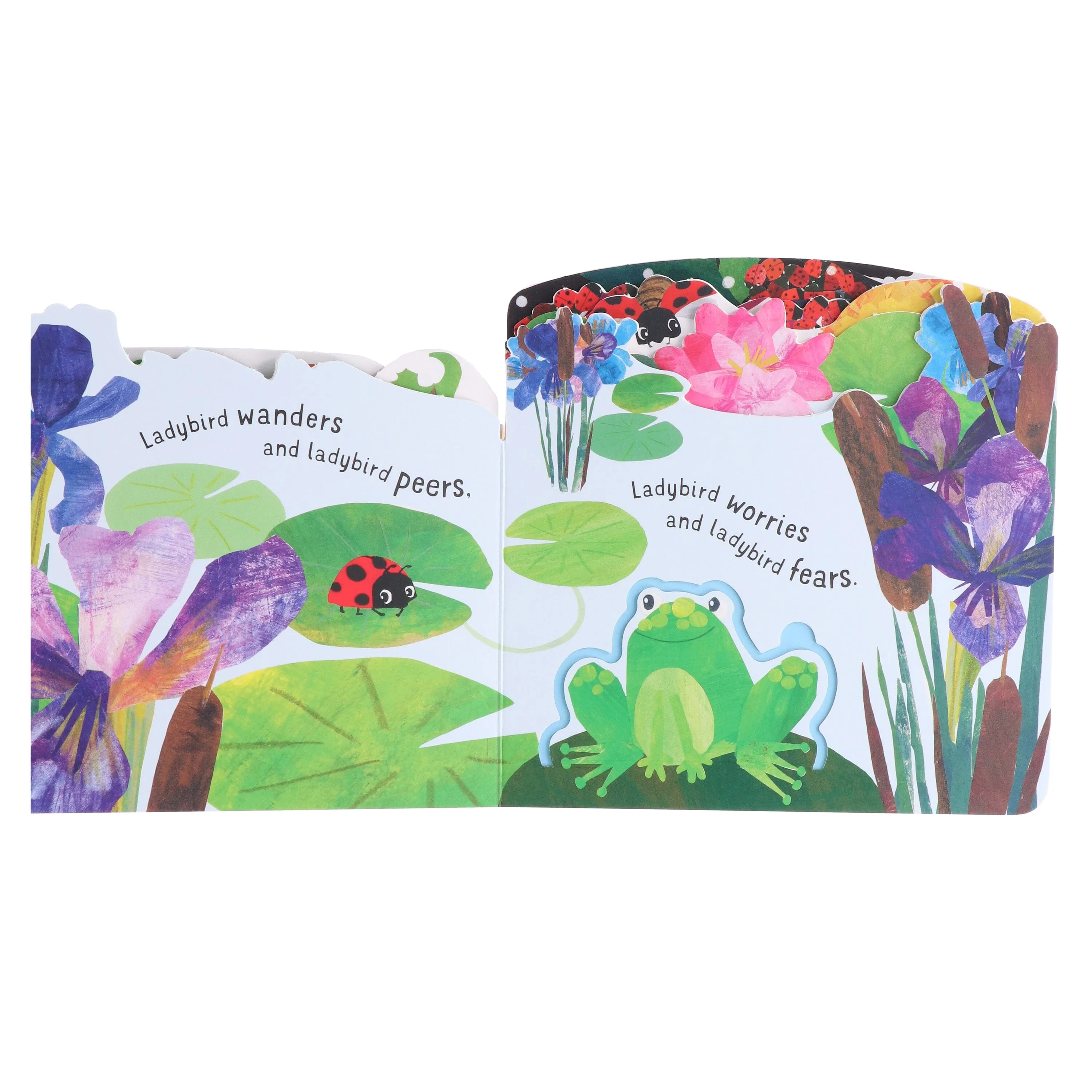 First Nature 4 Books Childrens Collection Set (ANT, BEE, CATERPILLAR & LADYBIRD) By Harriet Evans - Ages 0-5 - Board Book