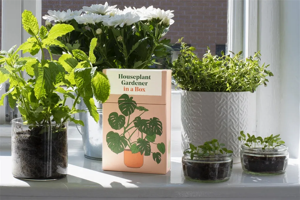 Houseplant Gardener in a Box