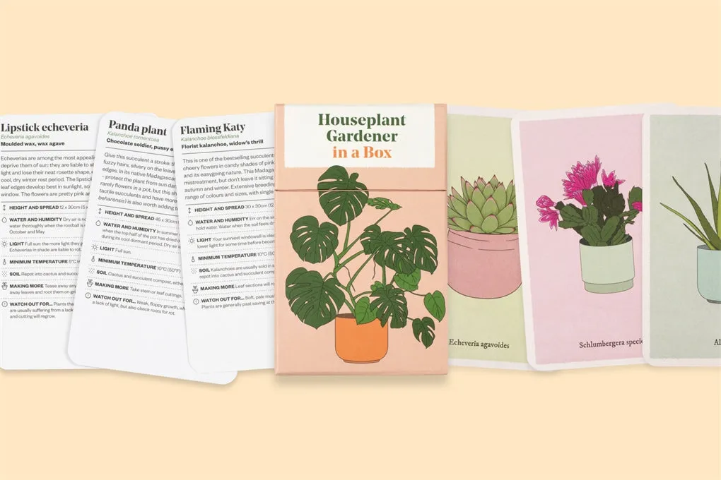 Houseplant Gardener in a Box