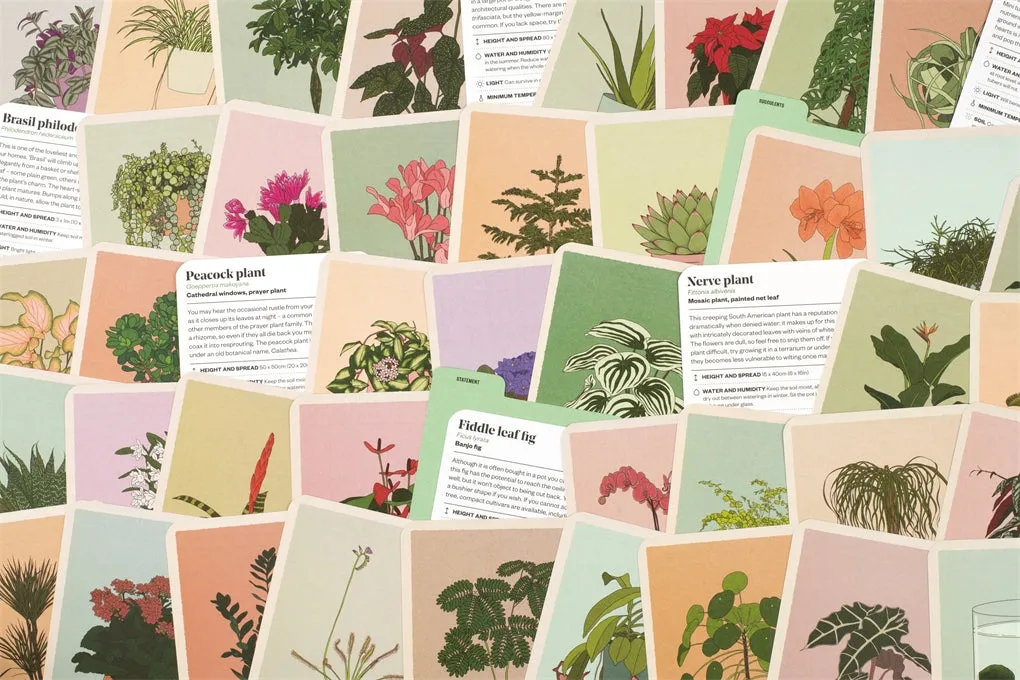 Houseplant Gardener in a Box