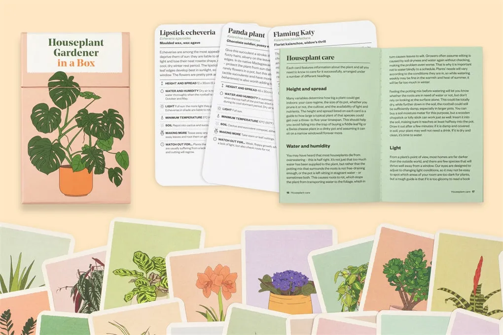 Houseplant Gardener in a Box