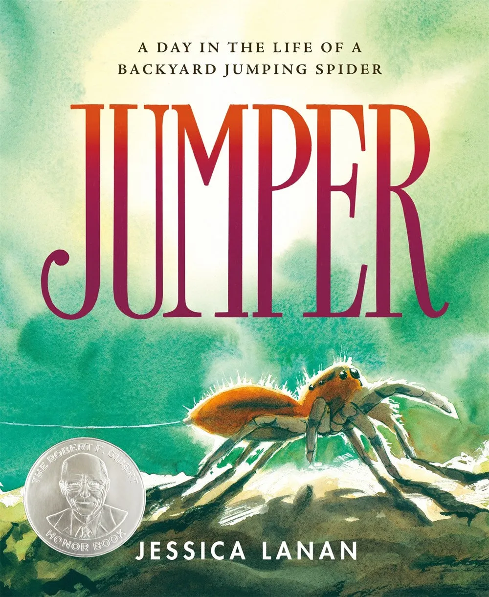 Jumper : A Day in the Life of a Backyard Jumping Spider Cleary's