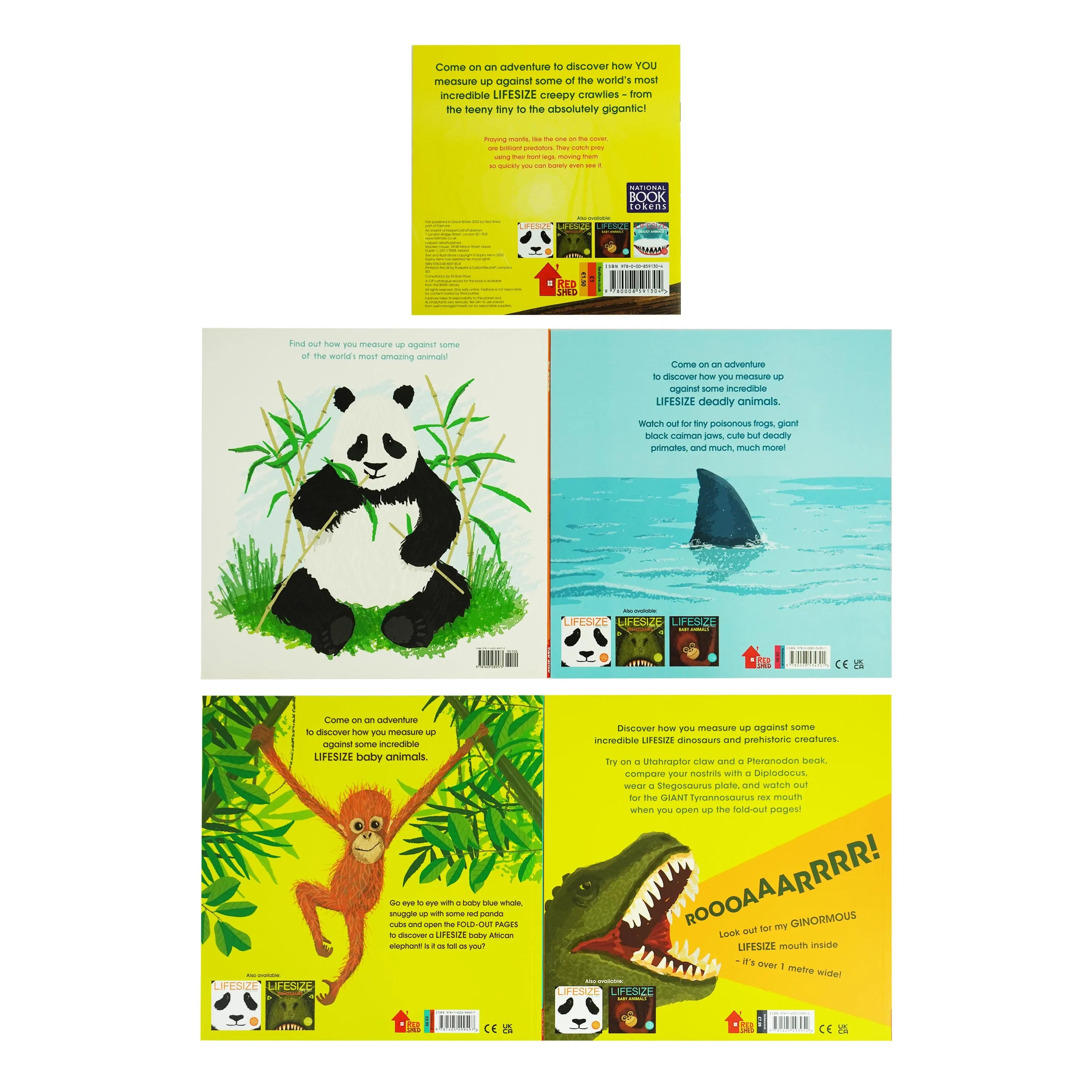 Lifesize Series with World Book Day 2023 5 Books Set by Sophy Henn - Ages 3-5 - Paperback