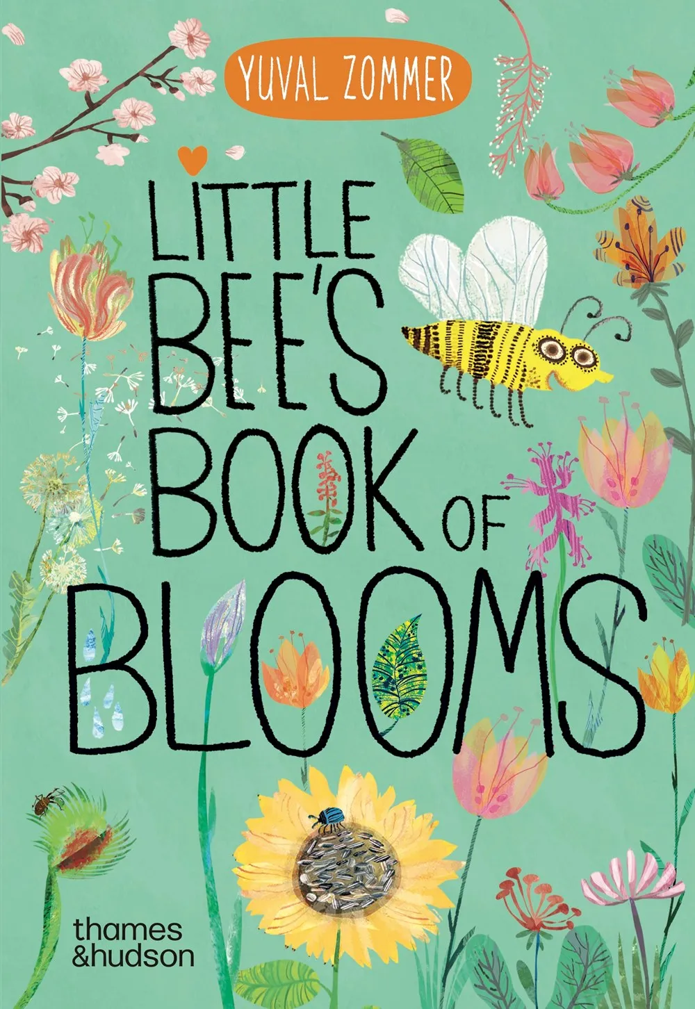 Little Bee's Book of Blooms Cleary's