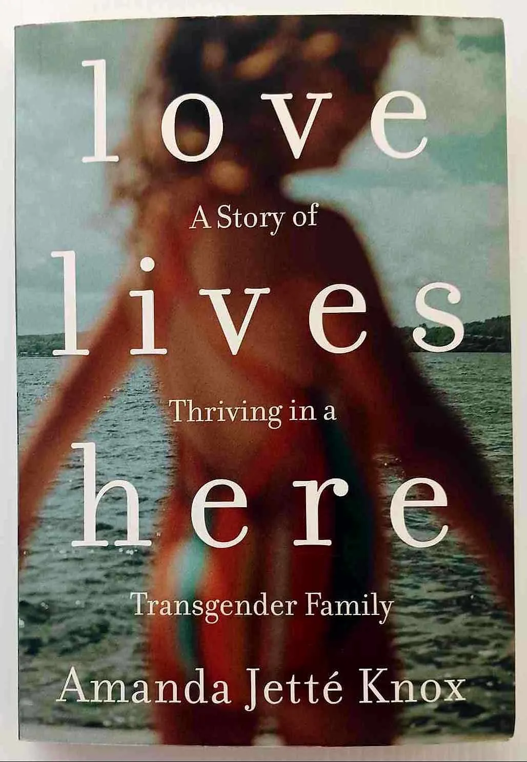 LOVE LIVES HERE - Amanda Jette Knox