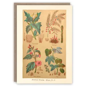 Medical Plants Card