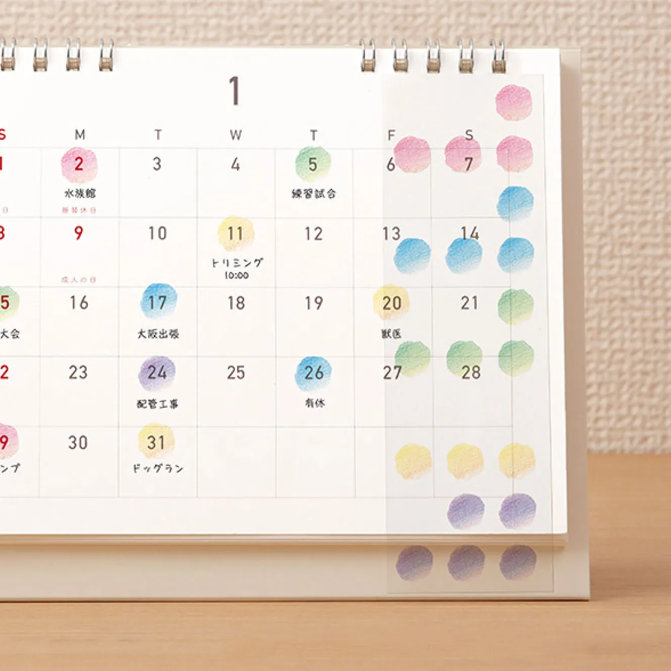 Midori - Planner Sticker - Calendar - Gradient <M>