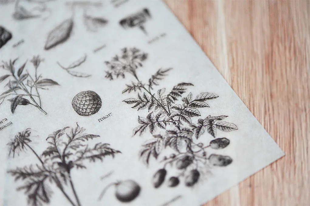 MU Lifestyle - Planner Sticker - Print On - #029 <Outgoing>
