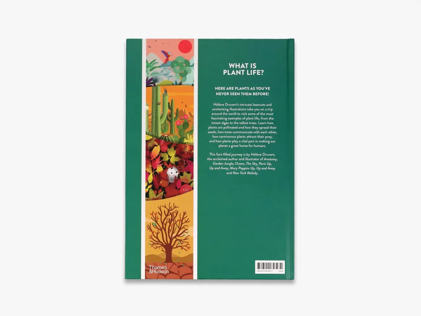 Plant Life