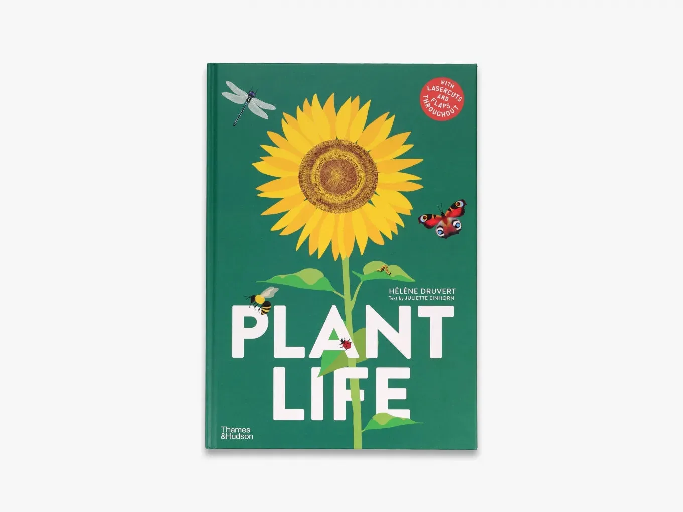 Plant Life