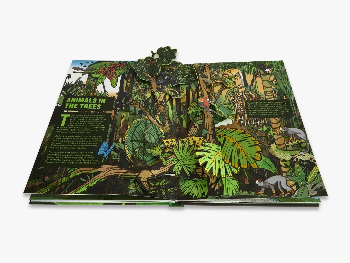 Pop-Up Forest