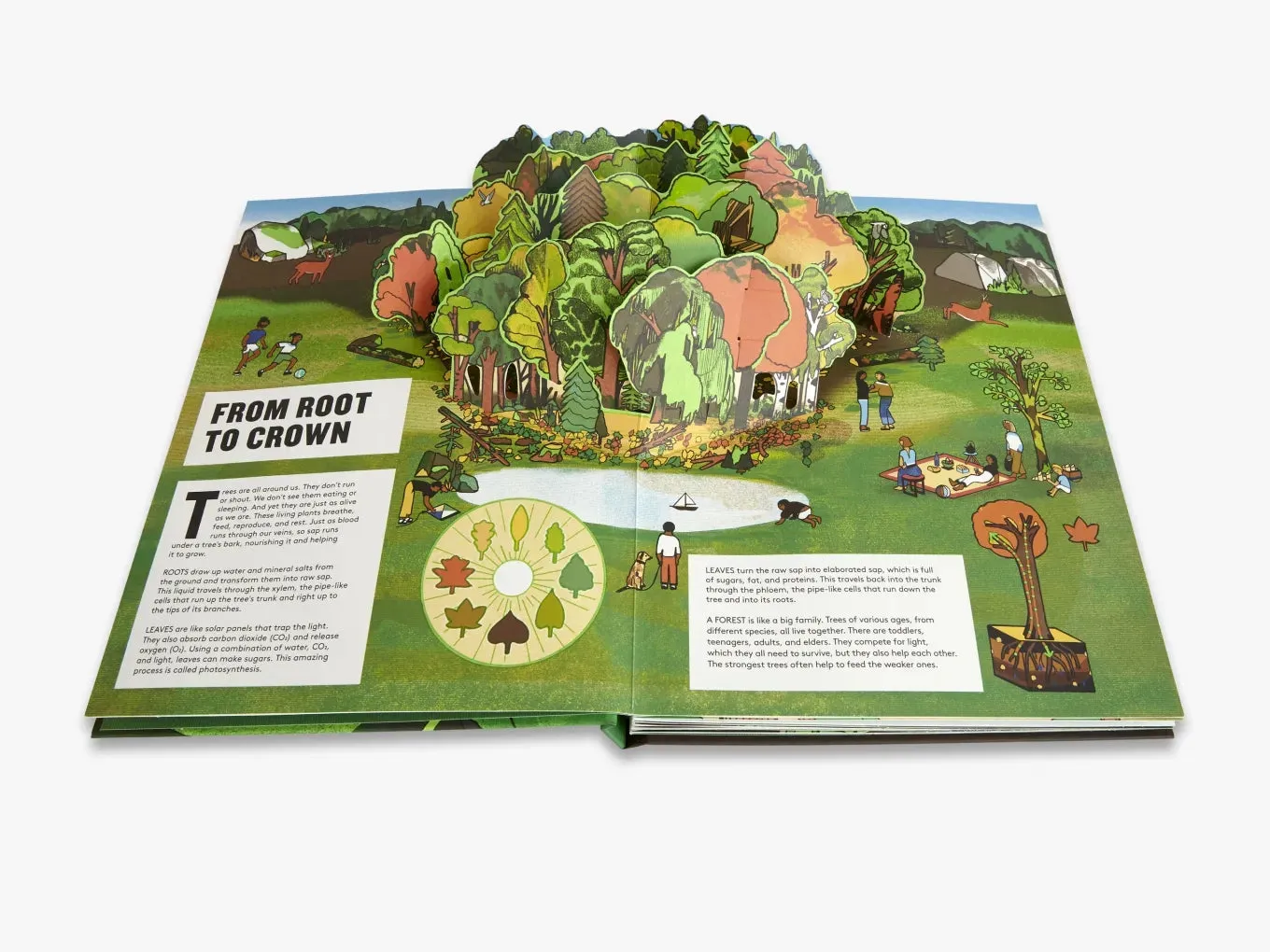 Pop-Up Forest