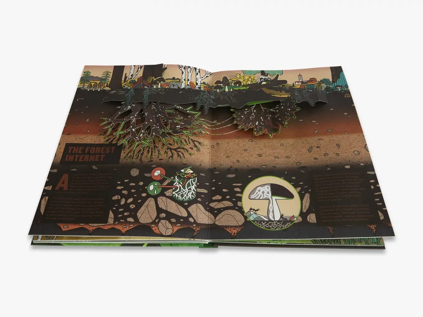 Pop-Up Forest