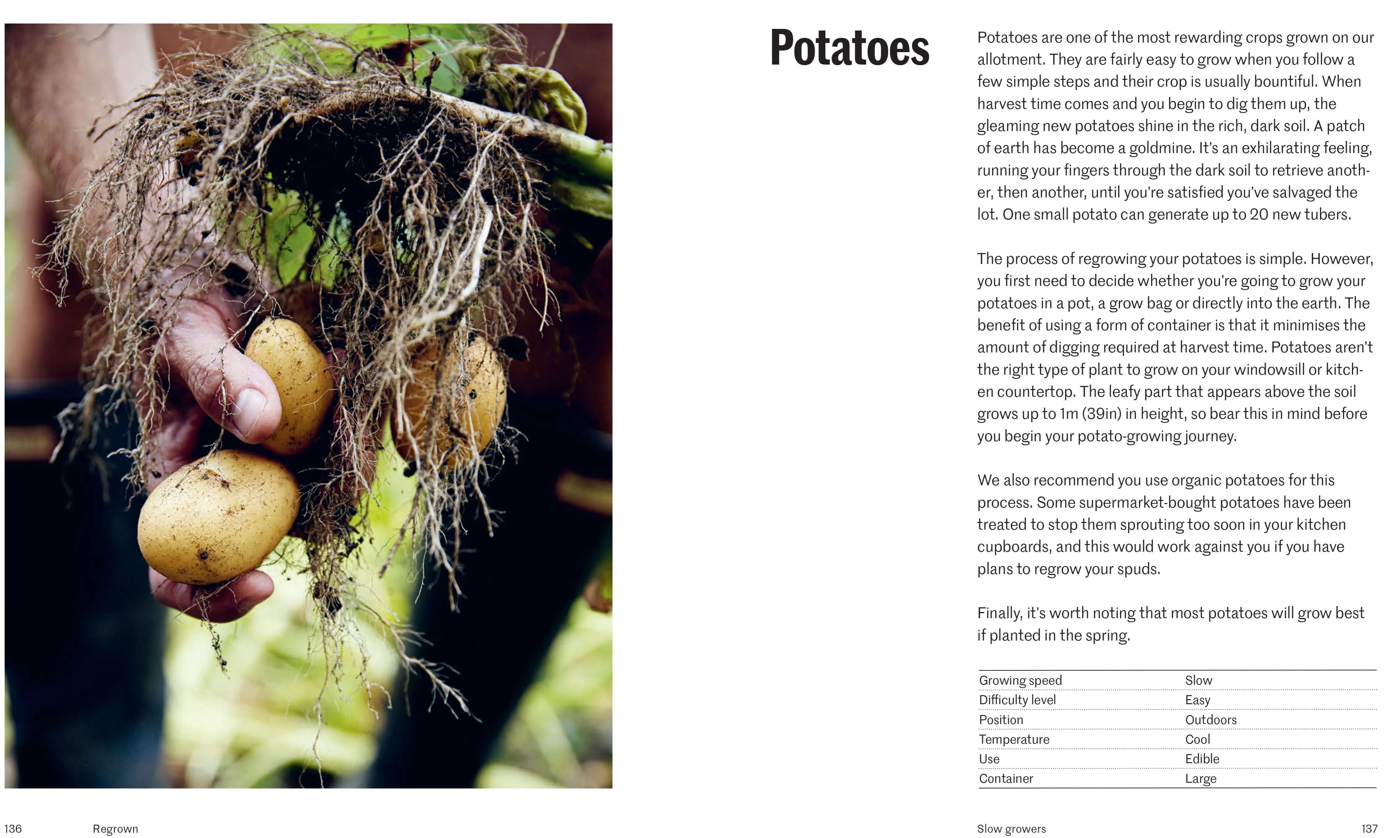 Regrown: How To Grow Fruits, Herbs and Vegetables On Your Windowsill