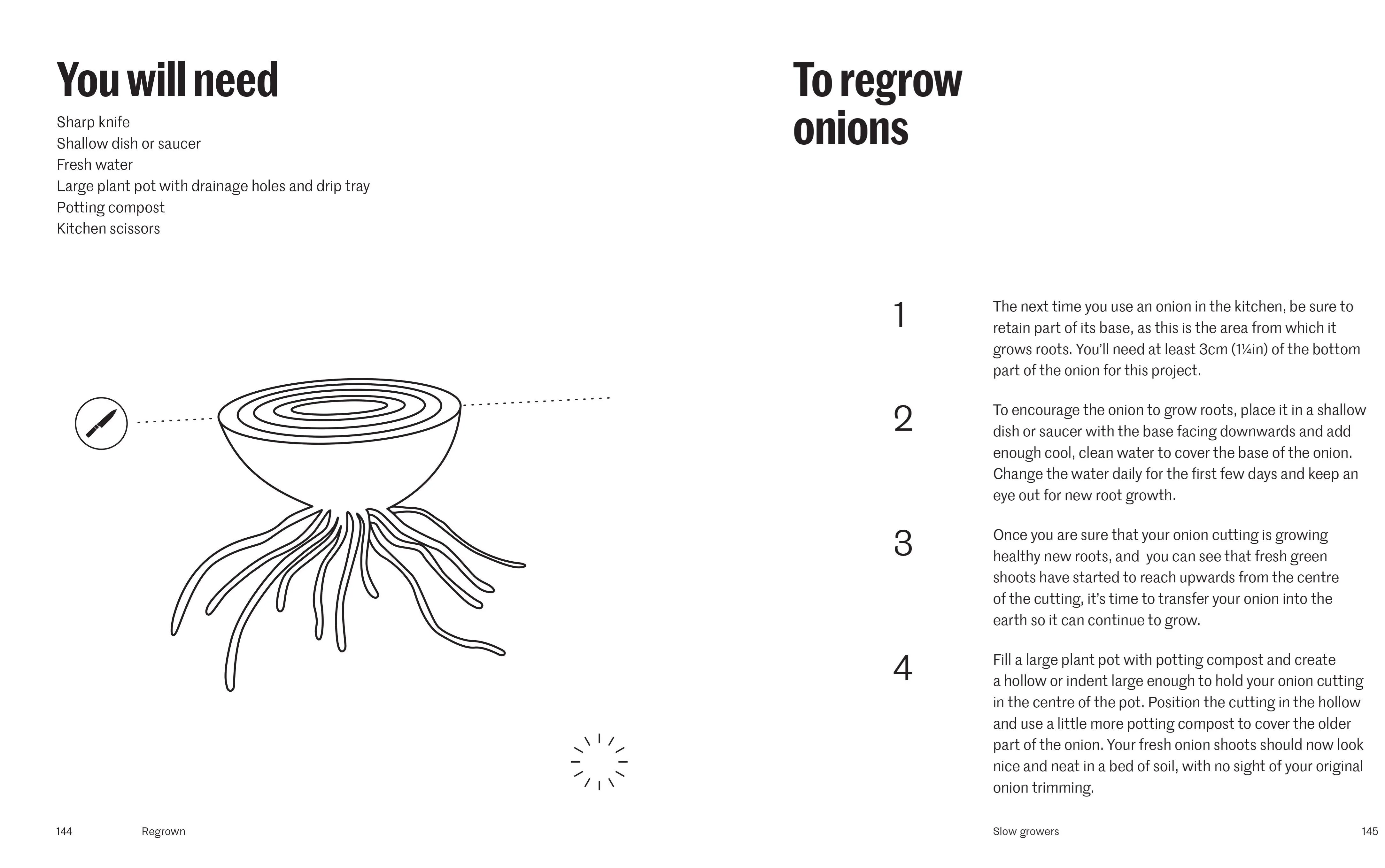 Regrown: How To Grow Fruits, Herbs and Vegetables On Your Windowsill
