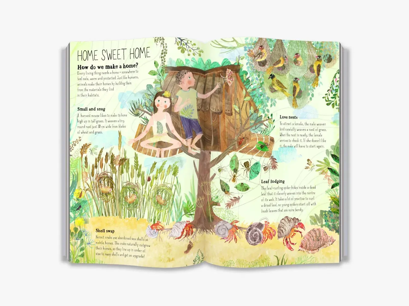 The Big Book of Belonging