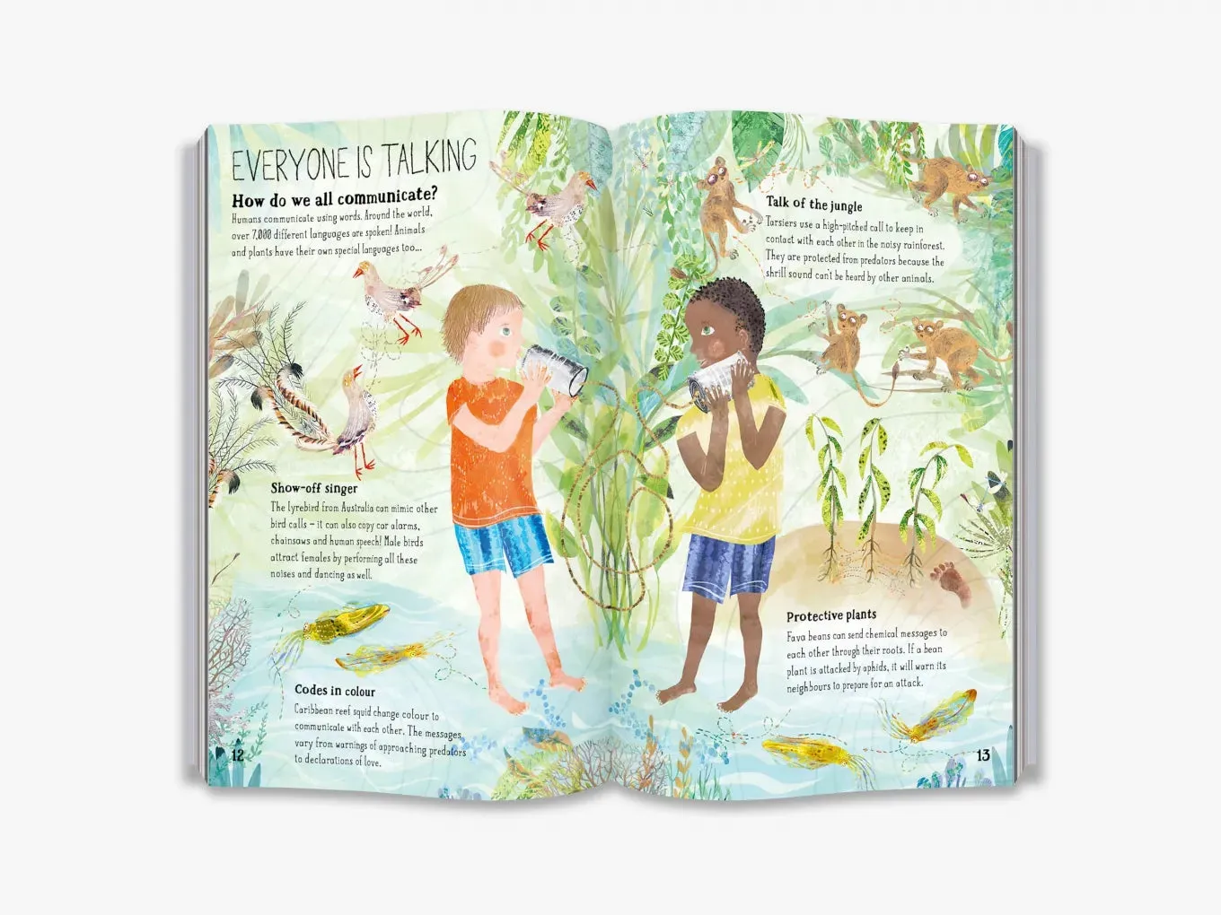 The Big Book of Belonging