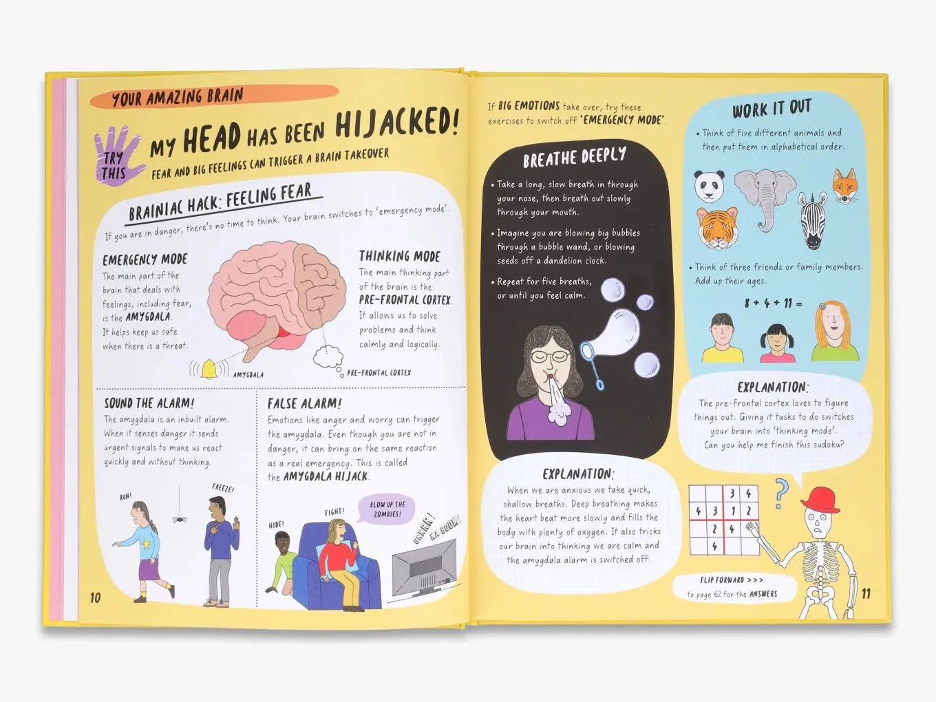 The Brainiac's Book of the Body and Brain