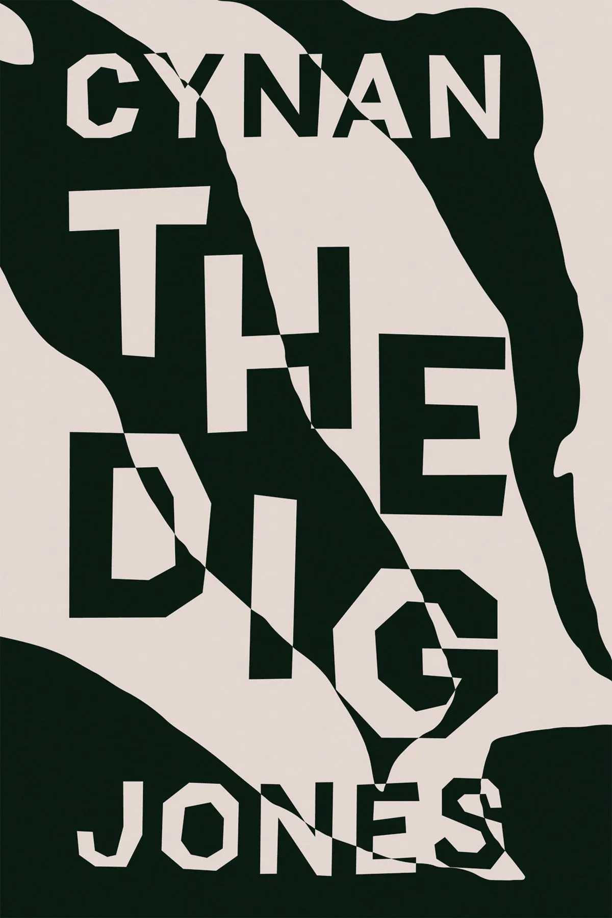 The Dig