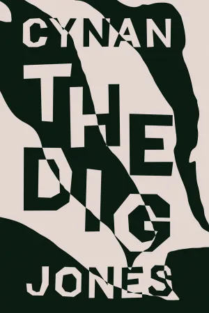 The Dig