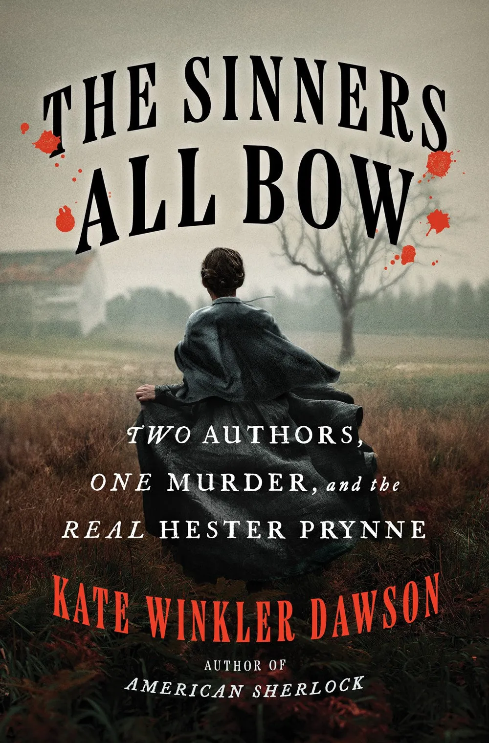 The Sinners All Bow : Two Authors, One Murder, and the Real Hester Prynne Cleary's