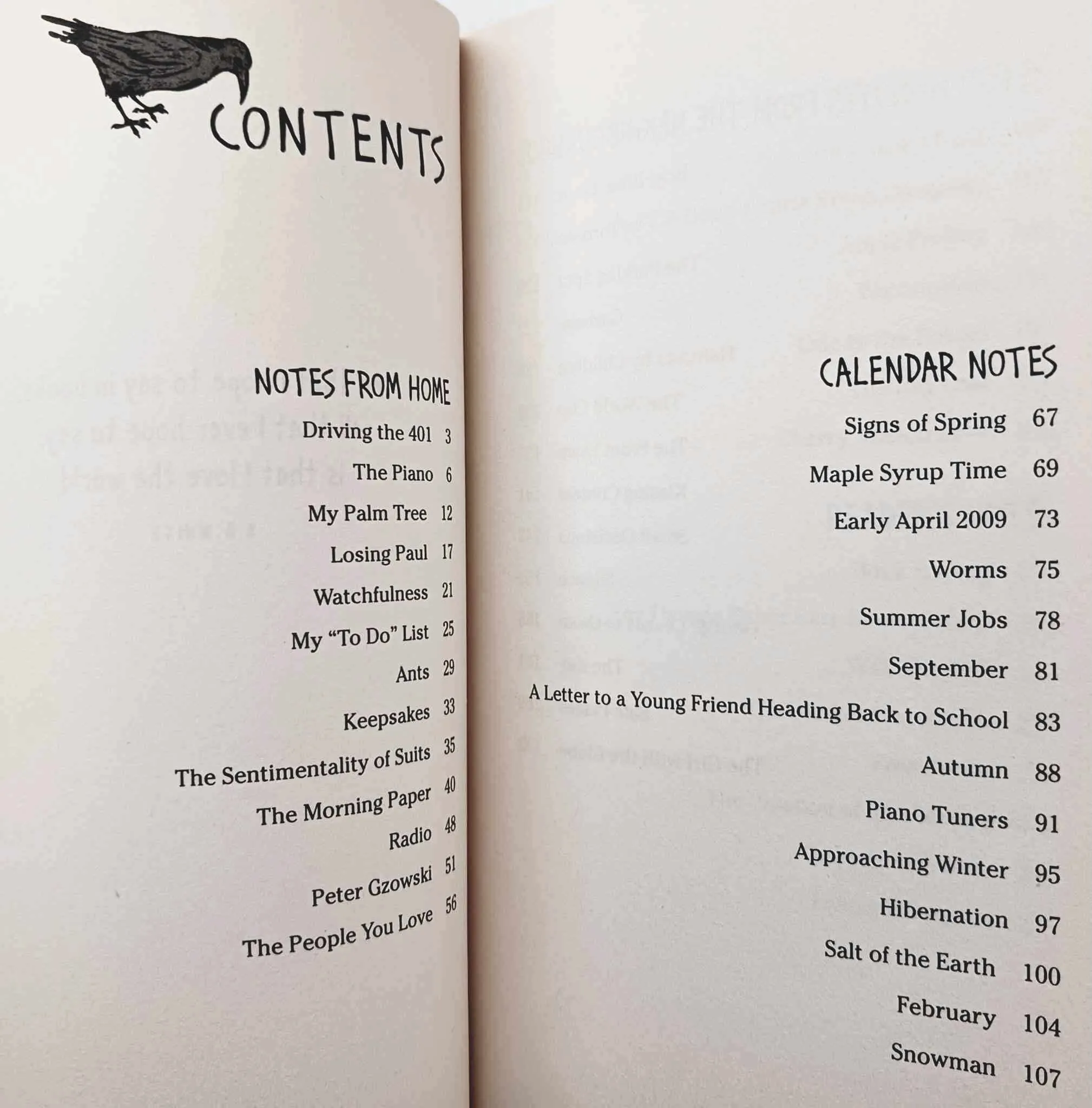 THE VINYL CAFE NOTEBOOKS - Stuart McLean
