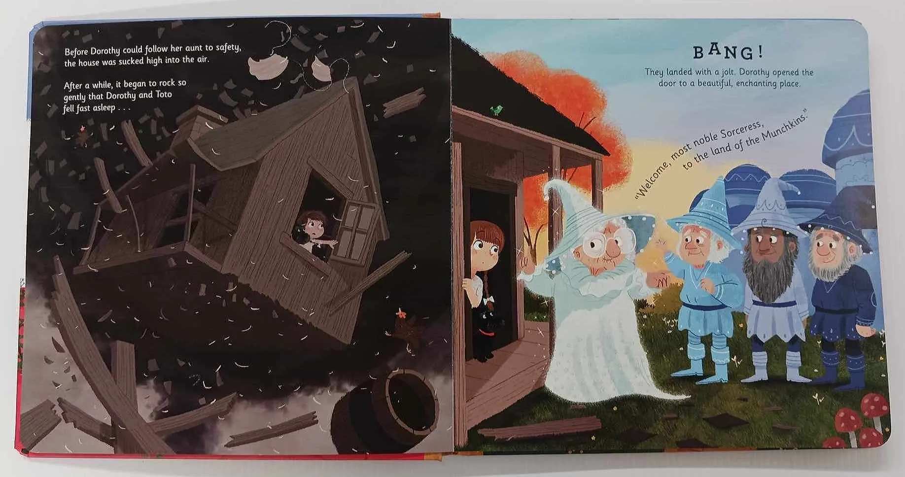 THE WONDERFUL WIZARD OF OZ - L. Frank Baum, Stephanie Clarkson