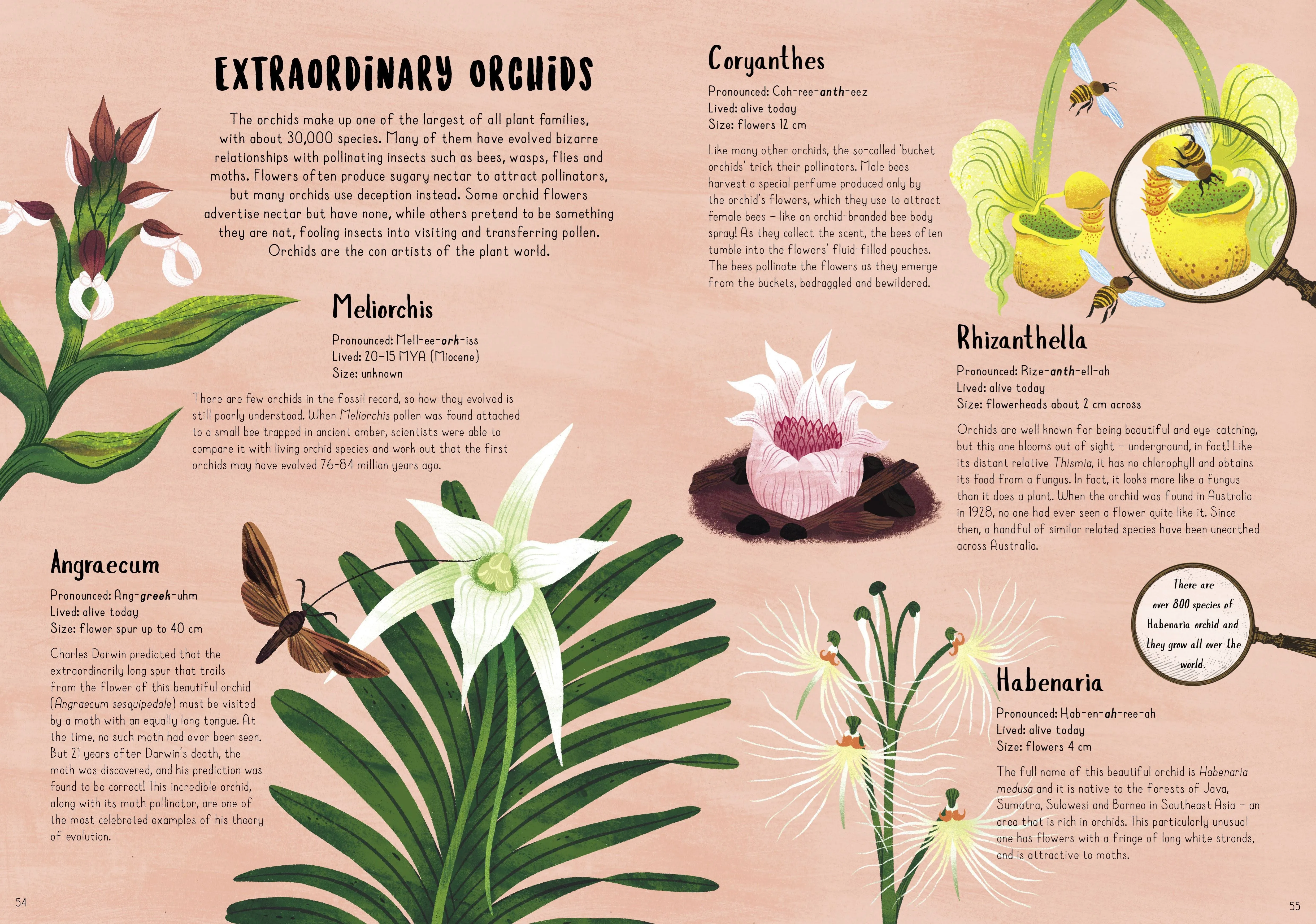 When Plants Took Over the Planet