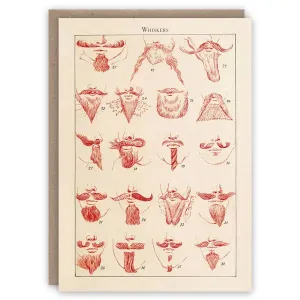 Whiskers Card